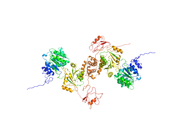 Nucleolar RNA helicase 2 fragment 186-710 SWISSMODEL model