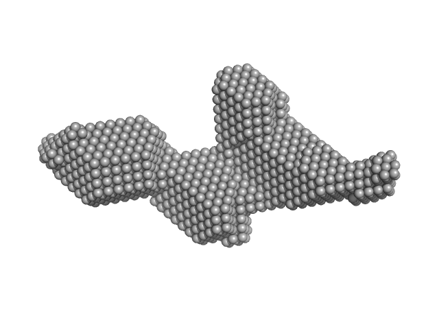 Nucleolar RNA helicase 2 fragment 186-620 DAMMIF model