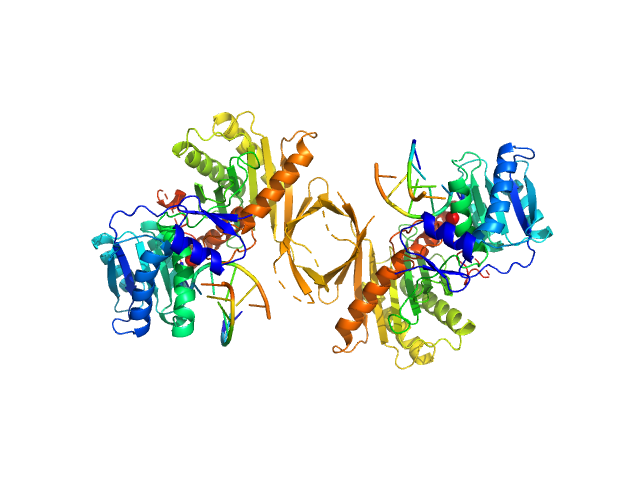 Piwi protein AF_1318 5'-phosphorilated 14-mer DNA oligoduplex PDB (PROTEIN DATA BANK) model