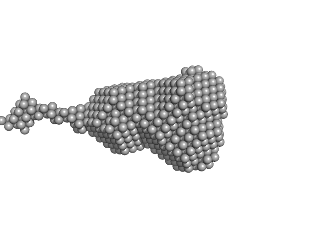 Ribonuclease pancreatic DAMMIF model