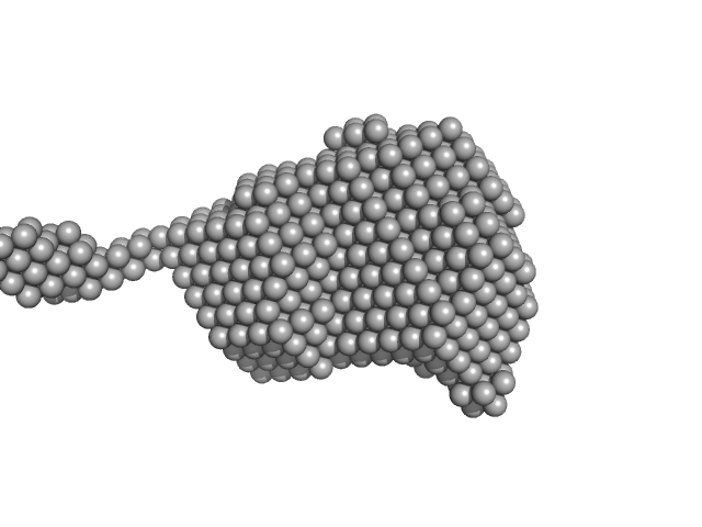 Ribonuclease pancreatic DAMMIF model