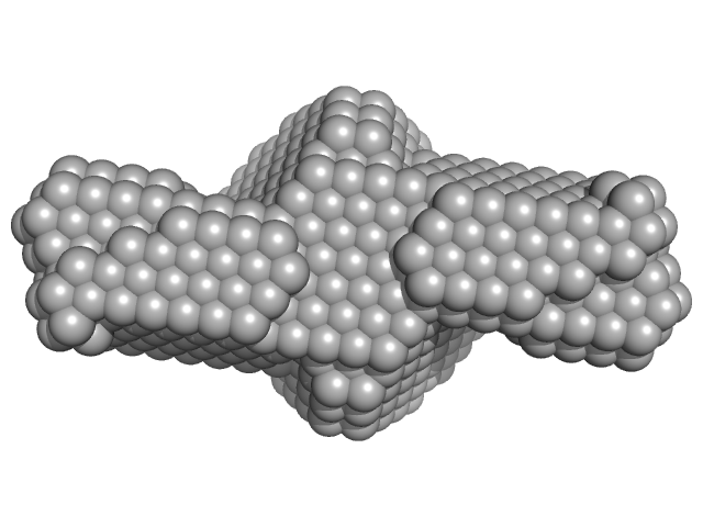 Protein ninH DAMMIF model