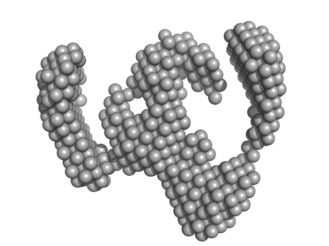 Binary larvicide subunit BinB Synthetic construct (mutant, His-tagged): Mosquito-larvicidal BinAB toxin receptor protein (Neutral and basic amino acid transport protein rBAT) DAMMIF model