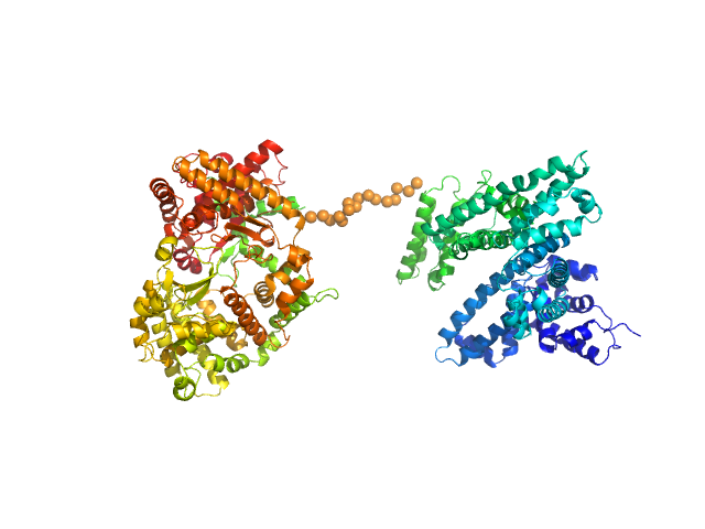 Neprilysin - G400V mutant Human serum albumin - C58S mutant EOM/RANCH model