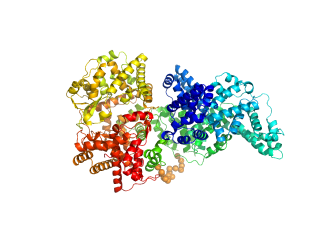 Neprilysin - G400V mutant Human serum albumin - C58S mutant EOM/RANCH model