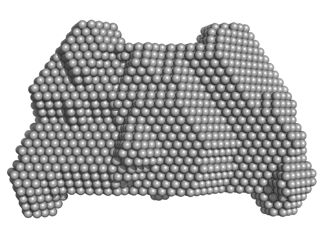 Complex I assembly factor ACAD9-VLCAD chimera DAMMIF model