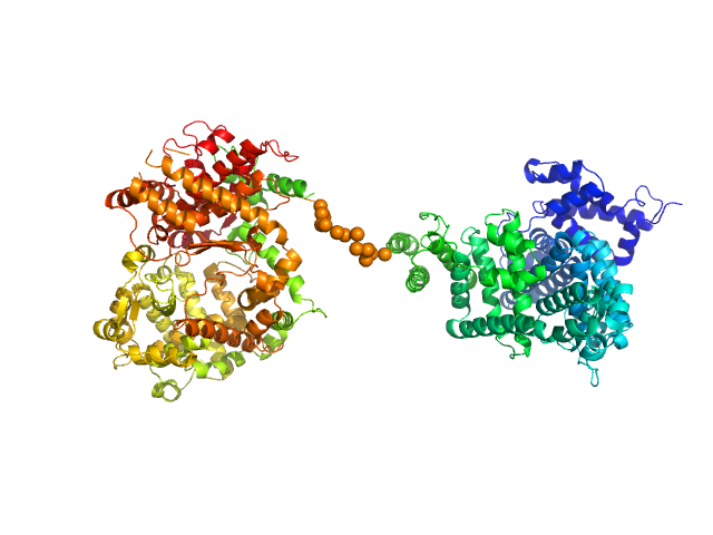 Neprilysin - G400V mutant Human serum albumin - C58S mutant EOM/RANCH model