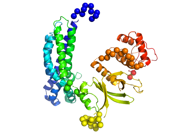 Phosphatidylinositol 3,4,5-trisphosphate-dependent Rac exchanger 1 EOM/RANCH model