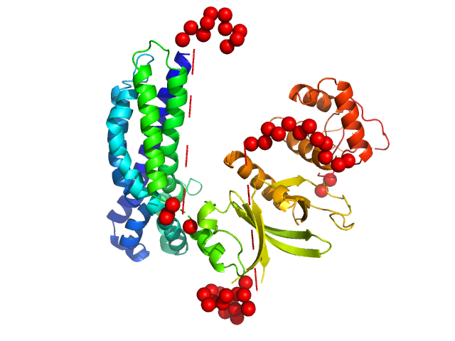 Phosphatidylinositol 3,4,5-trisphosphate-dependent Rac exchanger 1 EOM/RANCH model