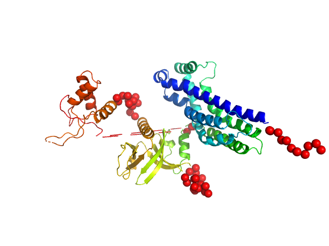 Phosphatidylinositol 3,4,5-trisphosphate-dependent Rac exchanger 1 EOM/RANCH model