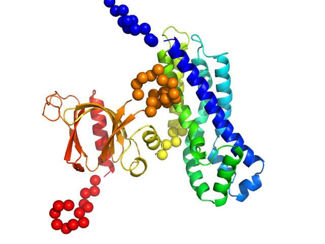 Phosphatidylinositol 3,4,5-trisphosphate-dependent Rac exchanger 1 protein EOM/RANCH model