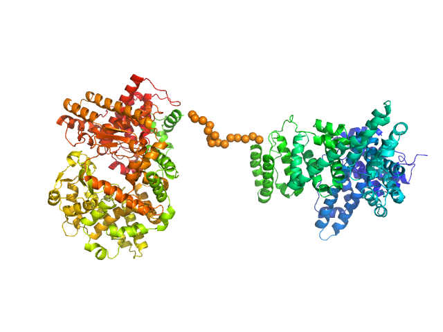 Neprilysin - G400V mutant Human serum albumin - C58S mutant EOM/RANCH model