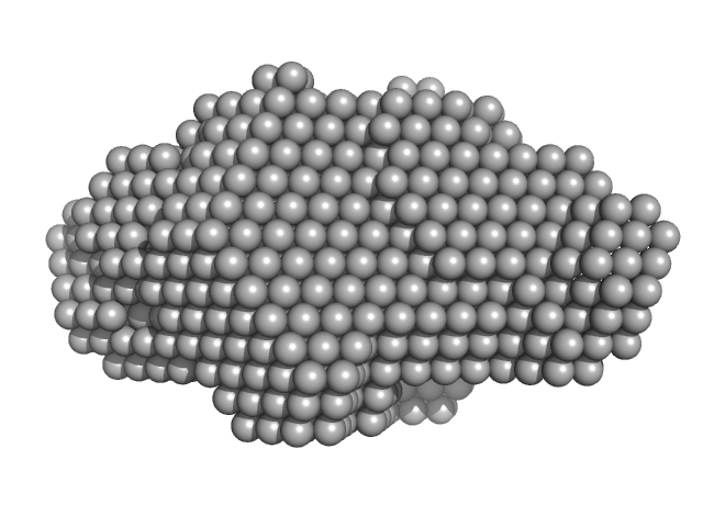 Complex I assembly factor ACAD9, mitochondrial DAMMIF model