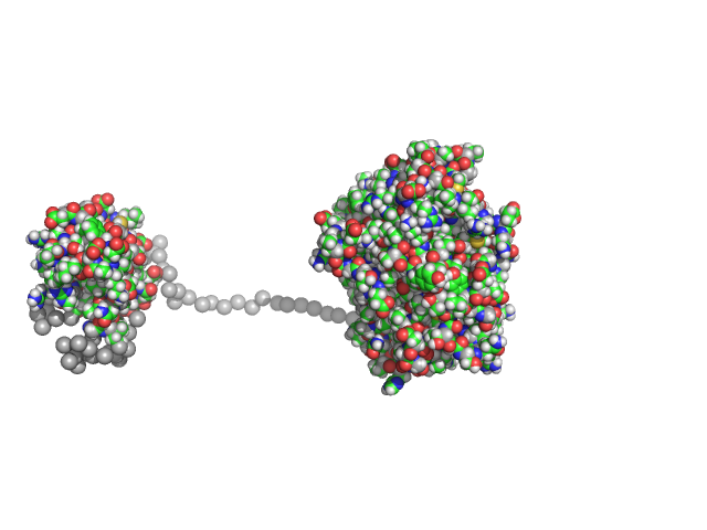 Menisporopsin singlet acyl carrier protein-thioesterase EOM/RANCH model