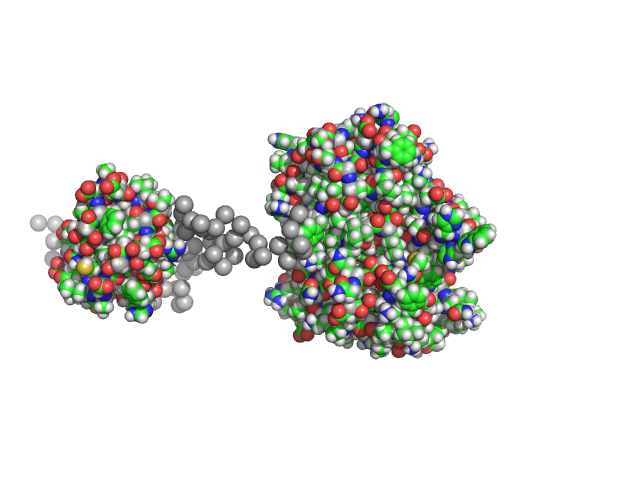 Menisporopsin singlet acyl carrier protein-thioesterase ELNÉMO model