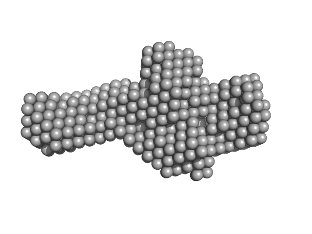 LIM/homeobox protein Lhx3 DAMMIN model