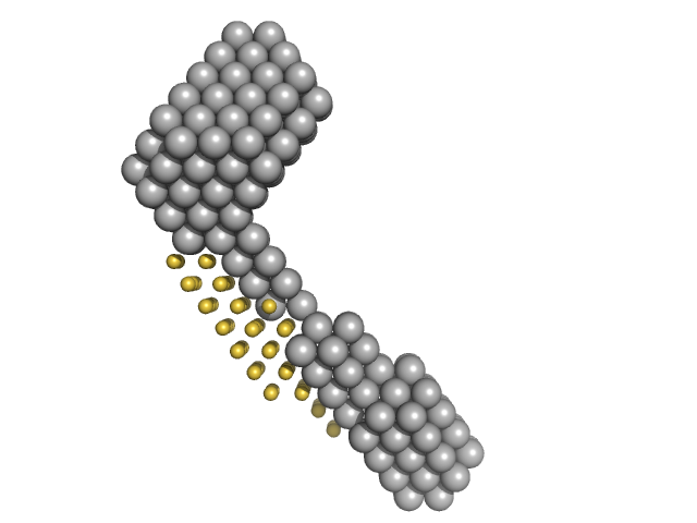 M100 oligonucleotide LIM/homeobox protein Lhx3 Insulin gene enhancer protein ISL-1 MONSA model