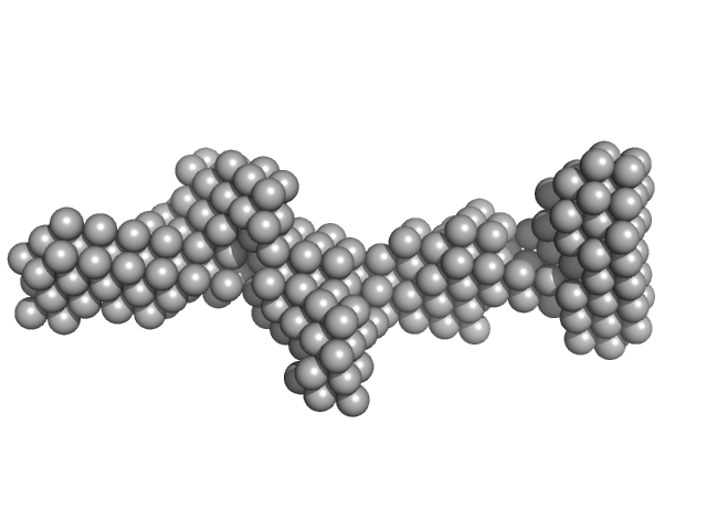 M100 oligonucleotide LIM/homeobox protein Lhx3 Insulin gene enhancer protein ISL-1 DAMMIN model