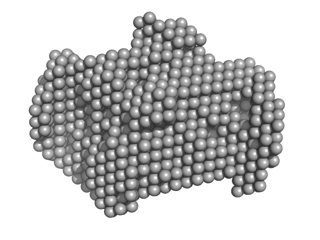 M100 oligonucleotide Insulin gene enhancer protein ISL-1 LIM/homeobox protein Lhx3 DAMMIN model