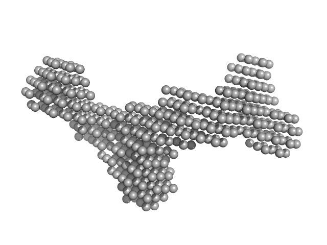 Major tail protein DAMMIN model