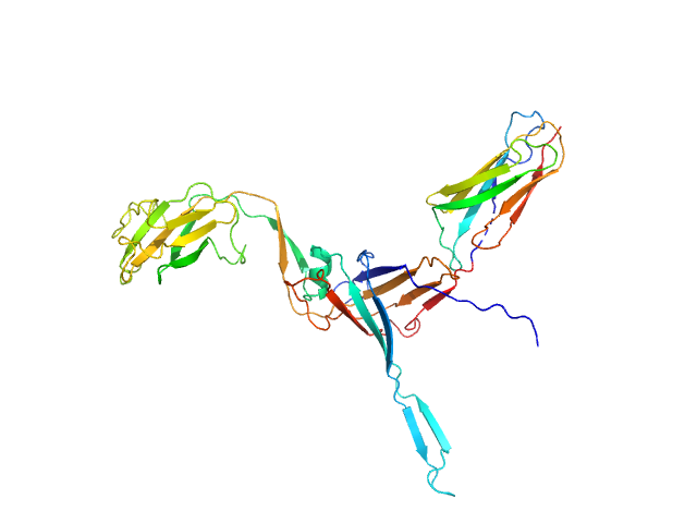 Major tail protein PYMOL model