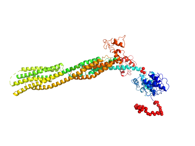 Half dimer of α-actinin-2 EOM/RANCH model