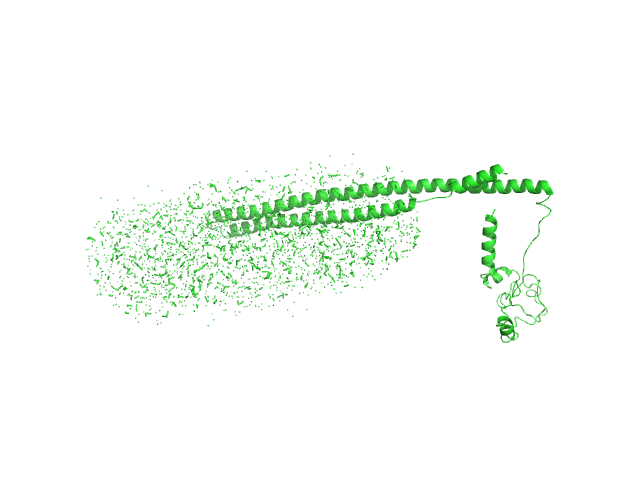 n-Dodecyl-β-D-Maltopyranoside Mce-family protein Mce4A CUSTOM IN-HOUSE model