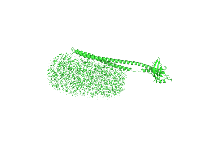 n-Dodecyl-β-D-Maltopyranoside Mce-family protein Mce4A CUSTOM IN-HOUSE model