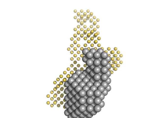 Signal recognition particle 9 Signal recognition particle 14 Full-length SRP Alu RNA MONSA model