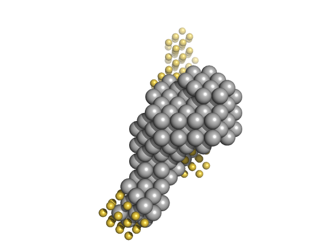 Signal recognition particle 9 Signal recognition particle 14 SRP Alu RNA 5' domain MONSA model