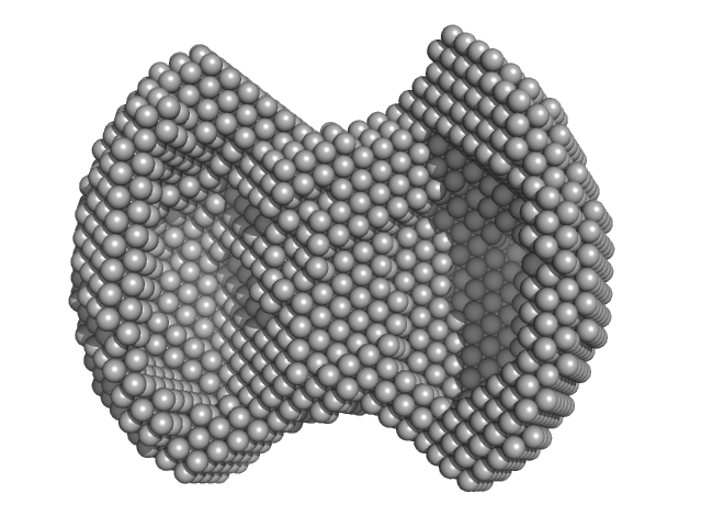 HBV G4 WT DAMMIN model