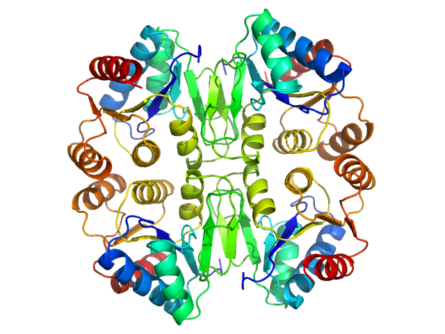 PDB (PROTEIN DATA BANK) model