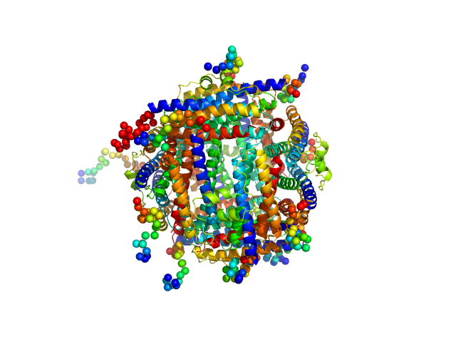 DNA protection during starvation protein CORAL model