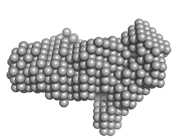 Heat shock cognate 71 kDa protein DAMMIN model