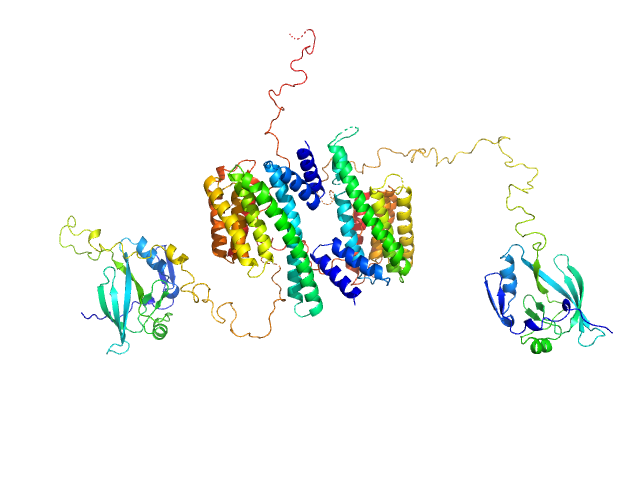 14-3-3 protein zeta/delta Ataxin-1 AXH-C MULTIFOXS model