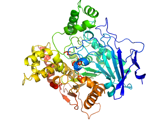 acetylcholinesterase acetylcholinesterase PDB (PROTEIN DATA BANK) model