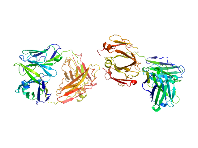 ChiLob 7/4 IgG2 F(ab)2 C224S/C225S mutant SREFLEX model