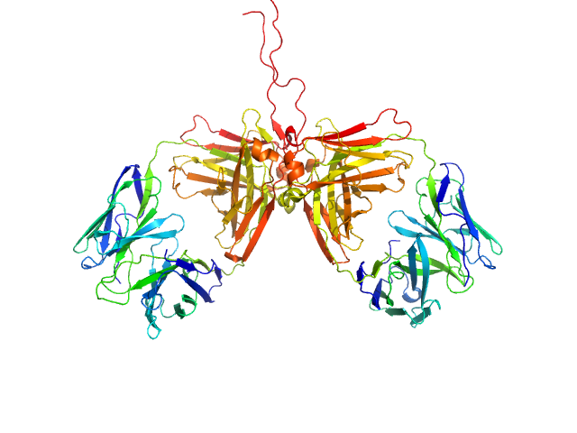 ChiLob 7/4 IgG2 F(ab)2 C224S/C225S mutant MOLECULAR DYNAMICS FRAME model