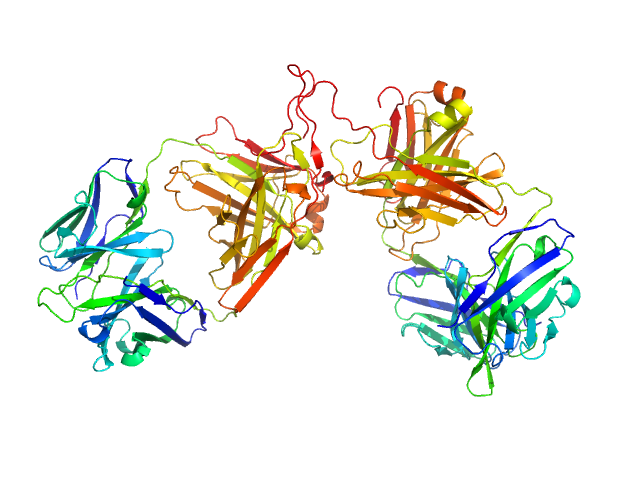 ChiLob 7/4 IgG2 F(ab)2 C224S/C225S mutant MOLECULAR DYNAMICS FRAME model