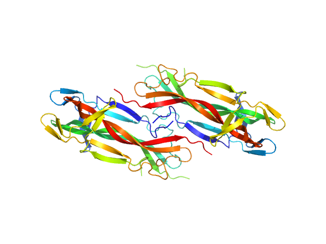 Beta-nerve growth factor GROMACS model