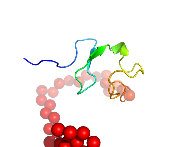 Relaxin receptor 1 EOM/RANCH model