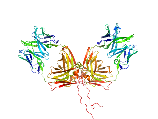 ChiLob 7/4 IgG2 F(ab)2 C228S mutant MOLECULAR DYNAMICS FRAME model