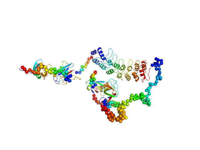 SH3 and multiple ankyrin repeat domains protein 3 CORAL model