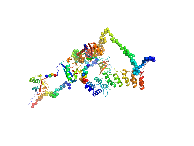 SH3 and multiple ankyrin repeat domains protein 3 CORAL model