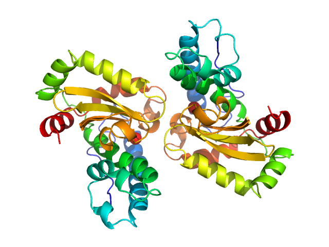 Superoxide dismutase [Mn] PDB (PROTEIN DATA BANK) model