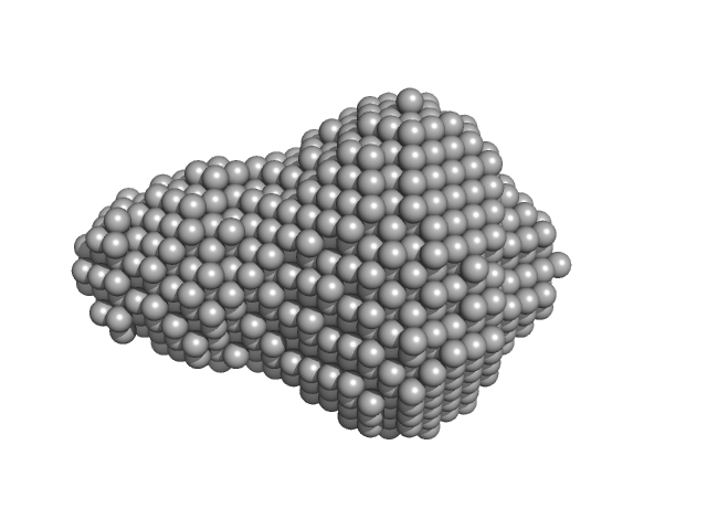 L-lactate dehydrogenase DAMMIF model