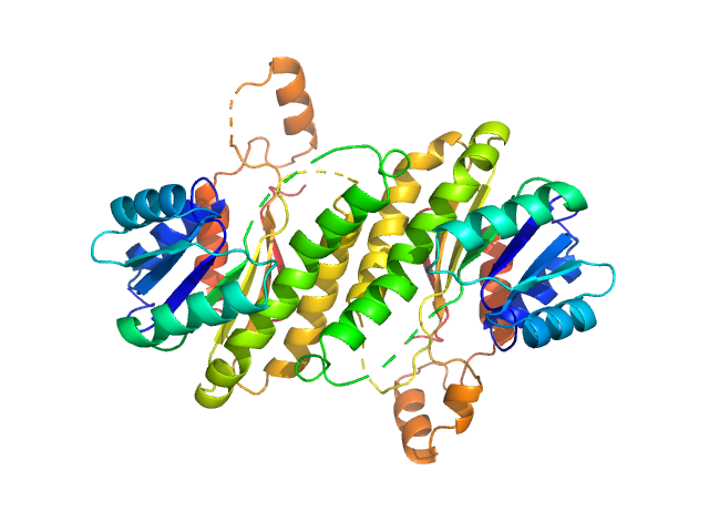 3-oxoacyl-[acyl-carrier-protein] reductase FabG PDB (PROTEIN DATA BANK) model