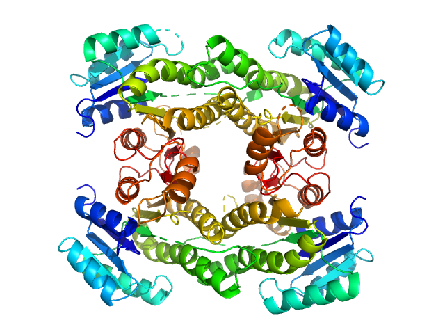 3-oxoacyl-[acyl-carrier-protein] reductase FabG PDB (PROTEIN DATA BANK) model