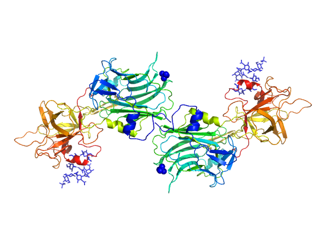 Hc fragment of Tetanus toxin PDB (PROTEIN DATA BANK) model