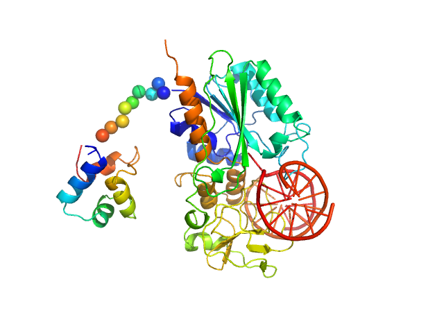 Modification methylase SsoII 12-bp DNA EOM/RANCH model